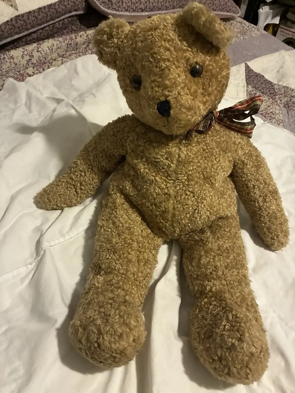 Ty Classic 1991 Vintage Curly Bear 16